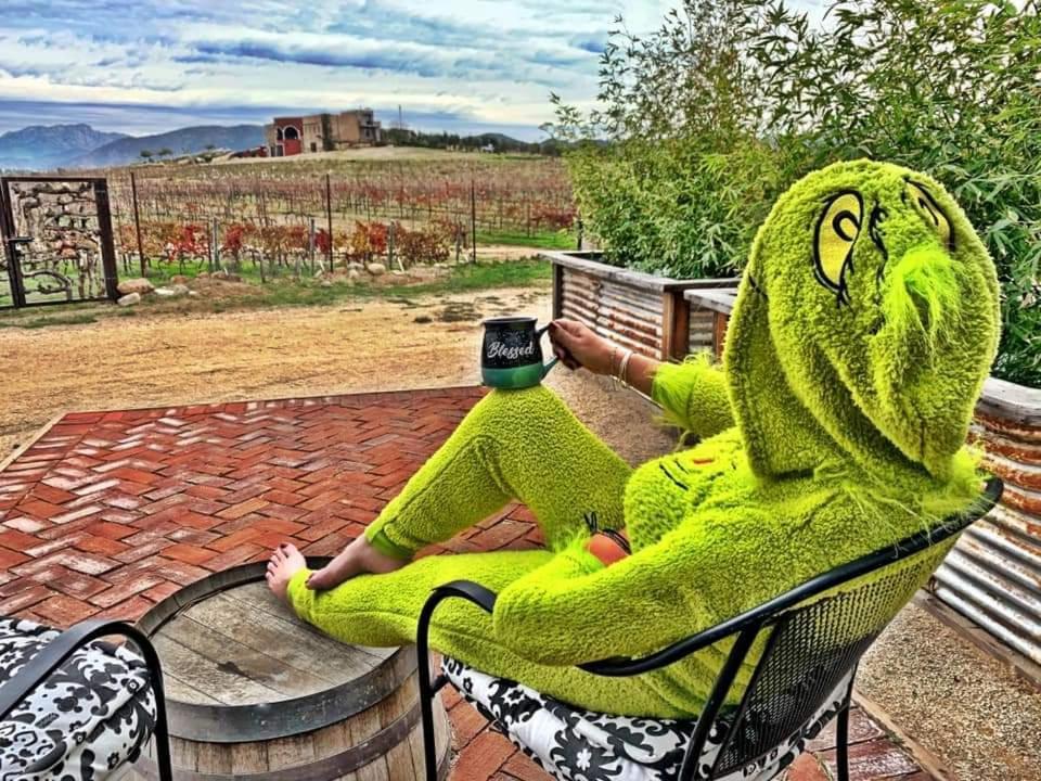 Finca Vidandrei Casa Mazahua Valle de Guadalupe Kültér fotó