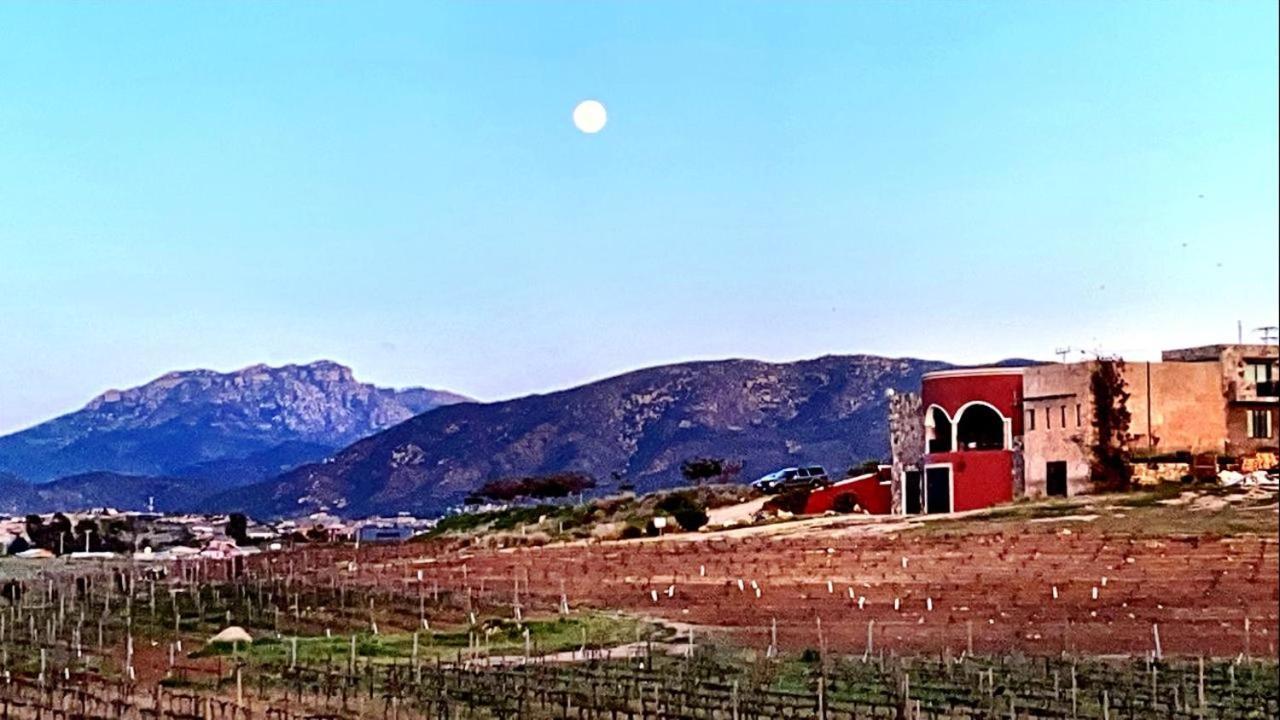 Finca Vidandrei Casa Mazahua Valle de Guadalupe Kültér fotó