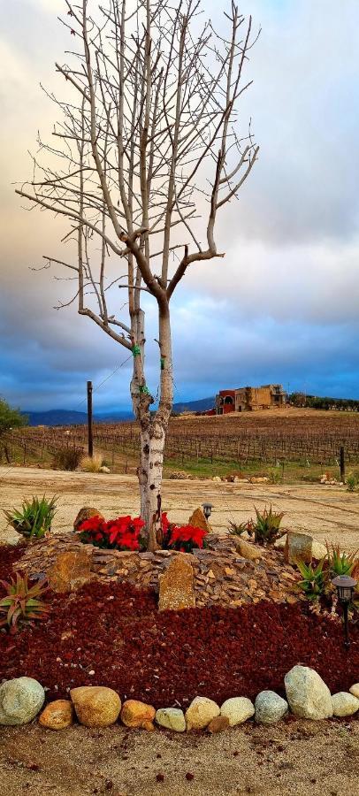 Finca Vidandrei Casa Mazahua Valle de Guadalupe Kültér fotó