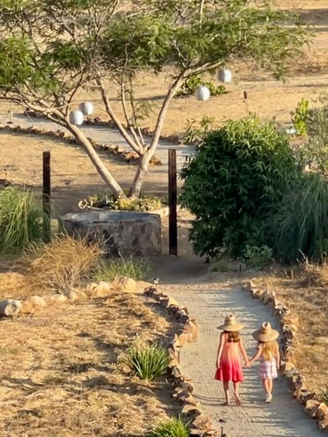 Finca Vidandrei Casa Mazahua Valle de Guadalupe Kültér fotó
