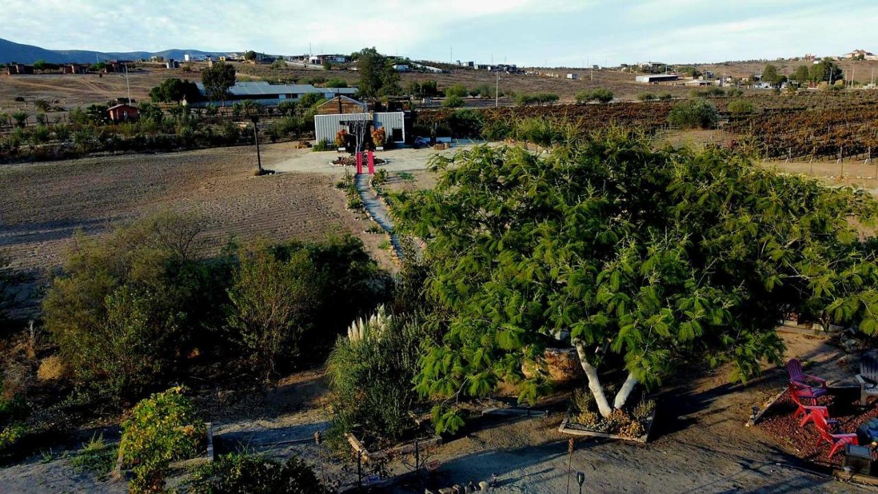 Finca Vidandrei Casa Mazahua Valle de Guadalupe Kültér fotó